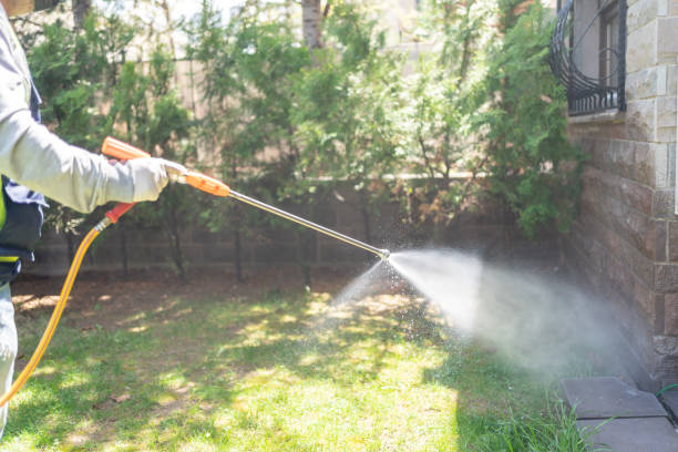 Reliable Wilsons Mills, NC Pest Control Solutions